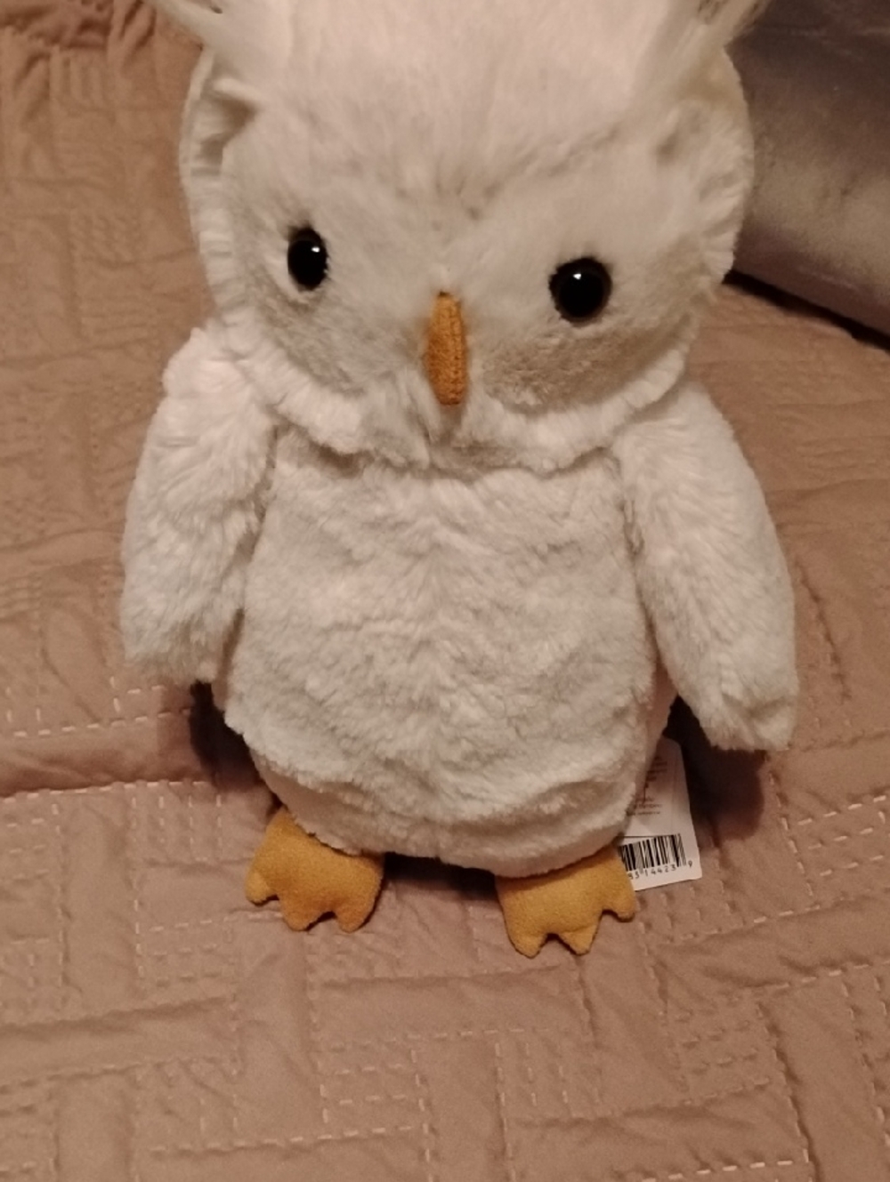 Jellycat Bashful Owl
